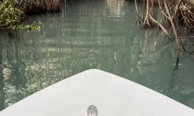 cancun lagoon fishing