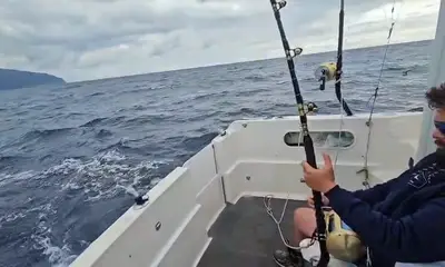 Ponta Delgada Report Video 0