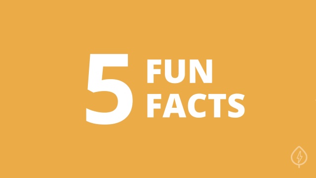 5 Fun Facts About Solar Energy