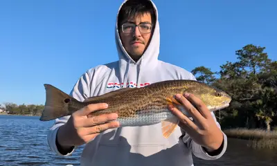 Jacksonville Report Video 0