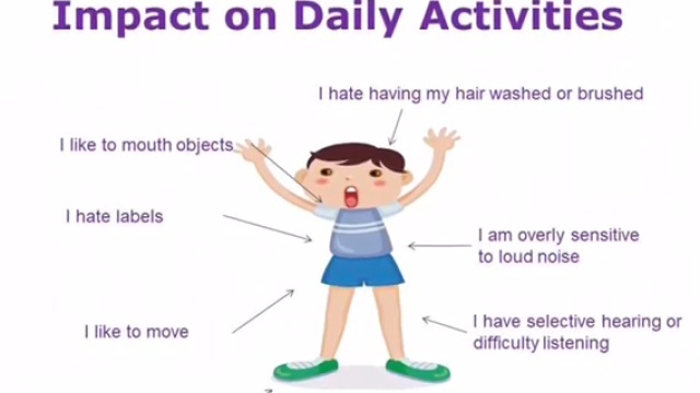 Occupational Therapy Sensory Workshop Senses