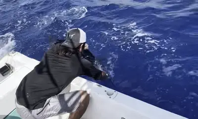 Playa Del Carmen Report Video 0