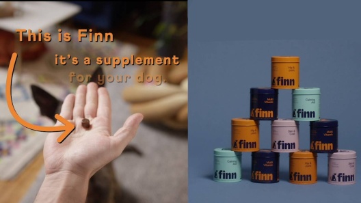 Play Video: Learn More About Finn From Our Team of Experts