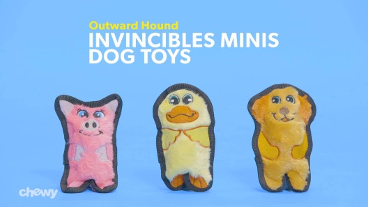 Invincibles Mini Chicky - No-Stuffing, Squeaky Dog Toy – Indestructible Dog