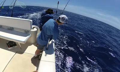 Cole Bay Report Video 2