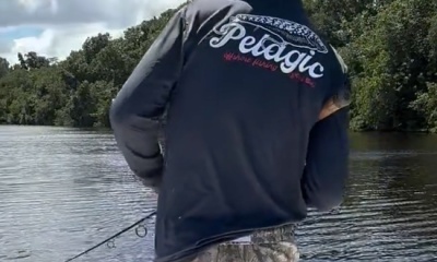 Carolina Report Video 0