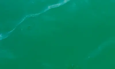 Naples Report Video 2