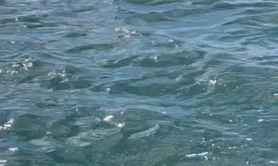 Vancouver Report Video 0