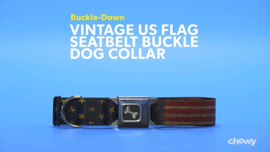 Play Video: Learn More About Buckle-Down From Our Team of Experts