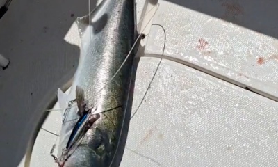 Virginia Beach Report Video 0