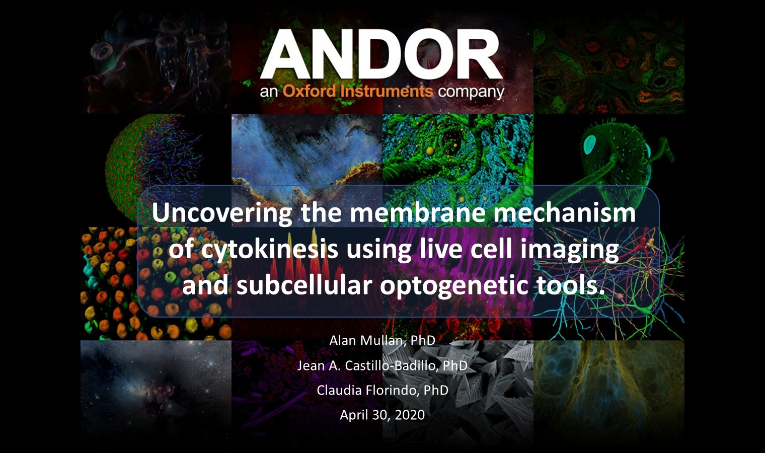 共焦点顕微鏡 Dragonfly: 100を超える科学論文で採用された革新の