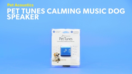 Play Video: Learn More About Pet Acoustics From Our Team of Experts