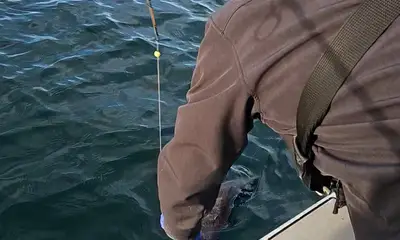 Very knowledgeable and down to earth fishing with Joe