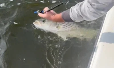 Highlands Report Video 0