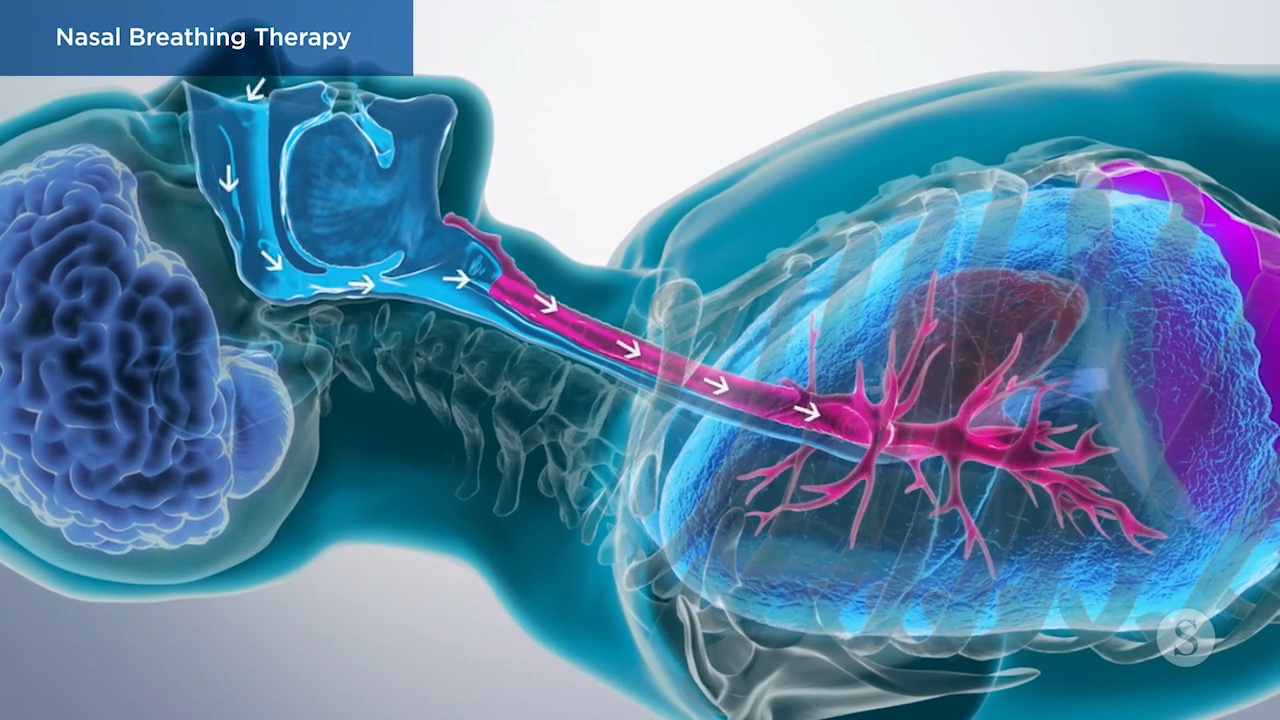 nasal breathing therapy