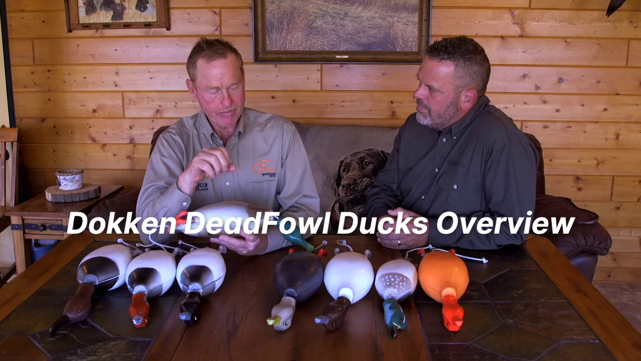 Dokkens Dead Fowl Trainers -- Bluebill | Gun Dog Supply