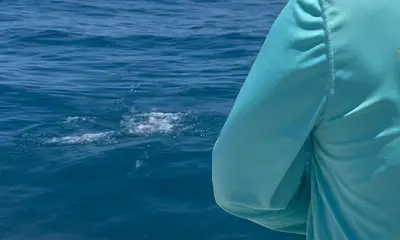 Holmes Beach Report Video 0