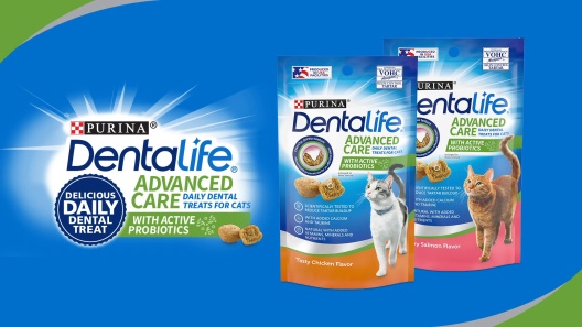 Play Video: Learn More About DentaLife From Our Team of Experts