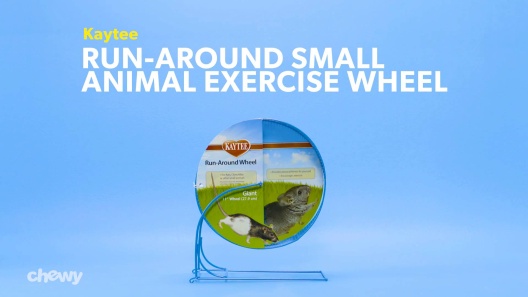 Kaytee Silent Spinner Exercise Wheel for Small Animals