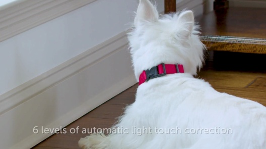 PetSafe Static Basic Waterproof Dog Bark Collar