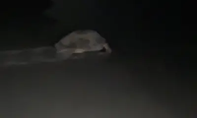 June fishing trip