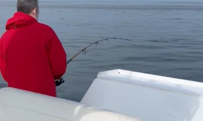 Dennis Report Video 0