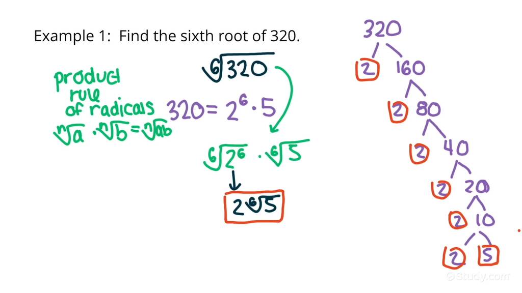 how-to-find-the-nth-root-of-a-number-drama-study