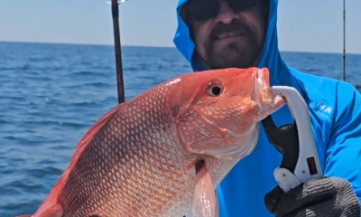 St. Simons Island Report Video 0