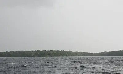 First musky attempt was an absolute blast 