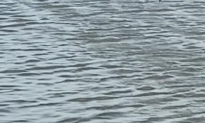 Key Largo Report Video 2