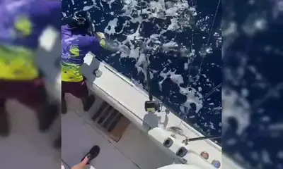 Puerto Plata Report Video 0