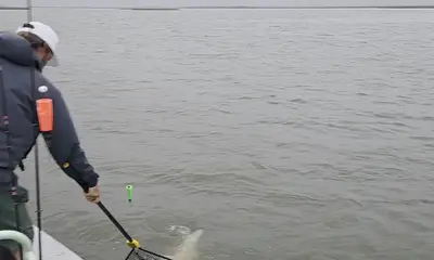 two old Marines and a day of fishing