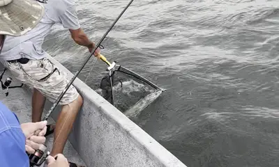 Tough day but still caught