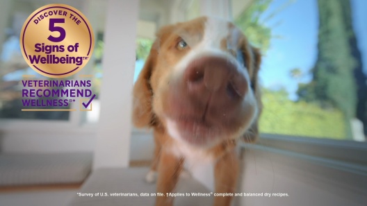 Wellness Bowl Boosters Simply Shreds Variety Pack Dog Food Topping, 2.8-oz pouch, 12 count