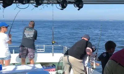 Chesapeake Beach Report Video 0