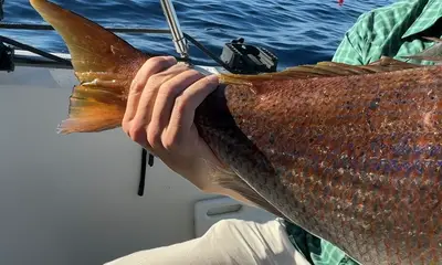 Valfinity Pirovac \u2013 unforgettable catches