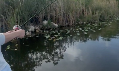 Fishing with Captain Jose! An Unforgettable Everglades Experience!