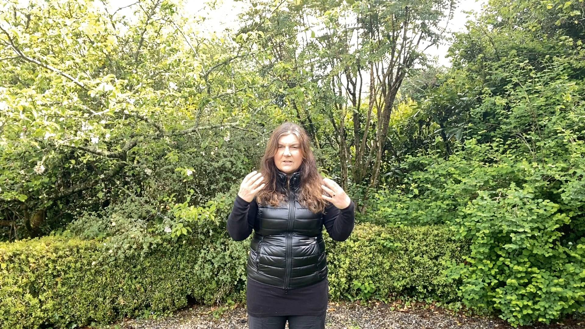 Introduction to Clearing and Balancing the Etheric Field