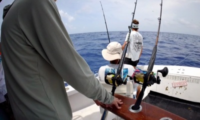 Amazing trip. These guys know how to catch fish. 5 star for sure!