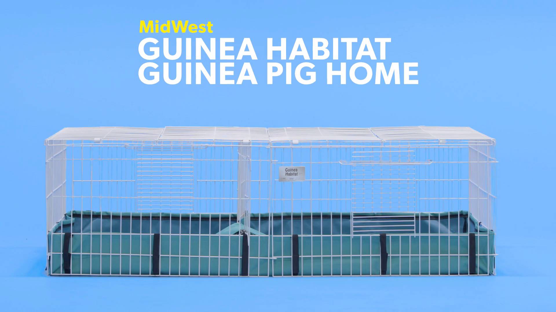 western guinea pig cage