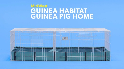 MIDWEST Guinea Habitat Deluxe Guinea Pig Cage 