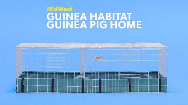 Midwest Guinea Habitat Guinea Pig Home Plus Chewy Com