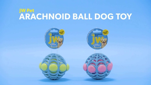 Discontinued - JW PET Arachnoid Ball Dog Toy, Color Varies, Small ...