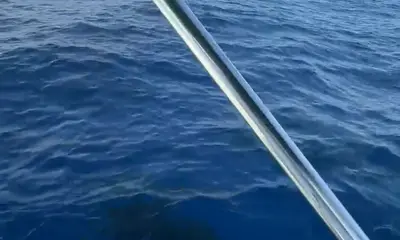 O Captain my Captain