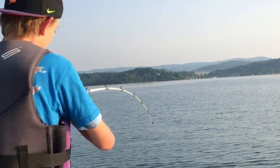 Rutledge Report Video 0
