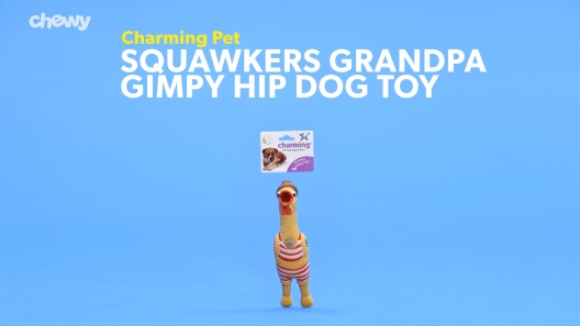 Play Video: Learn More About Charming Pet From Our Team of Experts