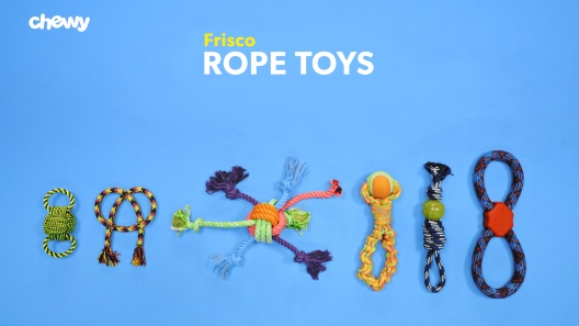 Play Video: Learn More About Frisco From Our Team of Experts