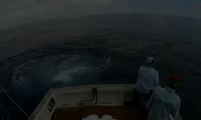 Sydney Report Video 0