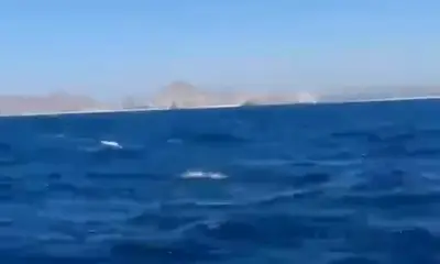 Marlin fishing on fire