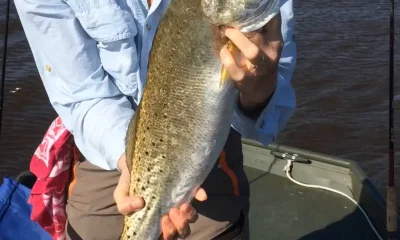 Steinhatchee Report Video 0